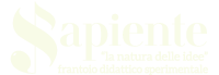 DISCOVER SAPIENTE